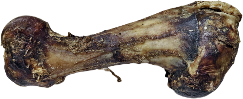 Beef Large Bone
