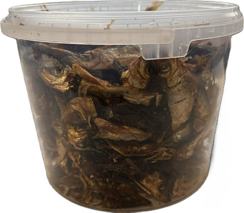 Sprats Fish 500g in plastic container