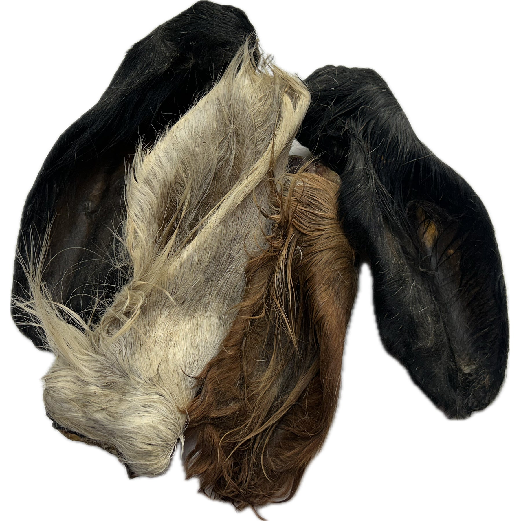 Beef Ears with Fur Hair