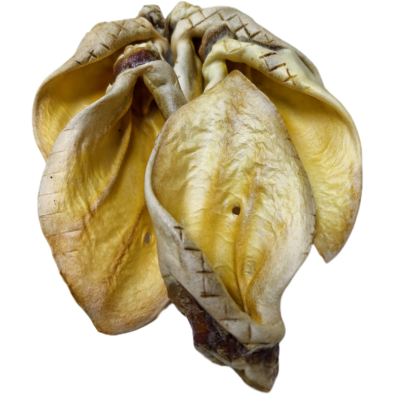 Beef Ears HONEY