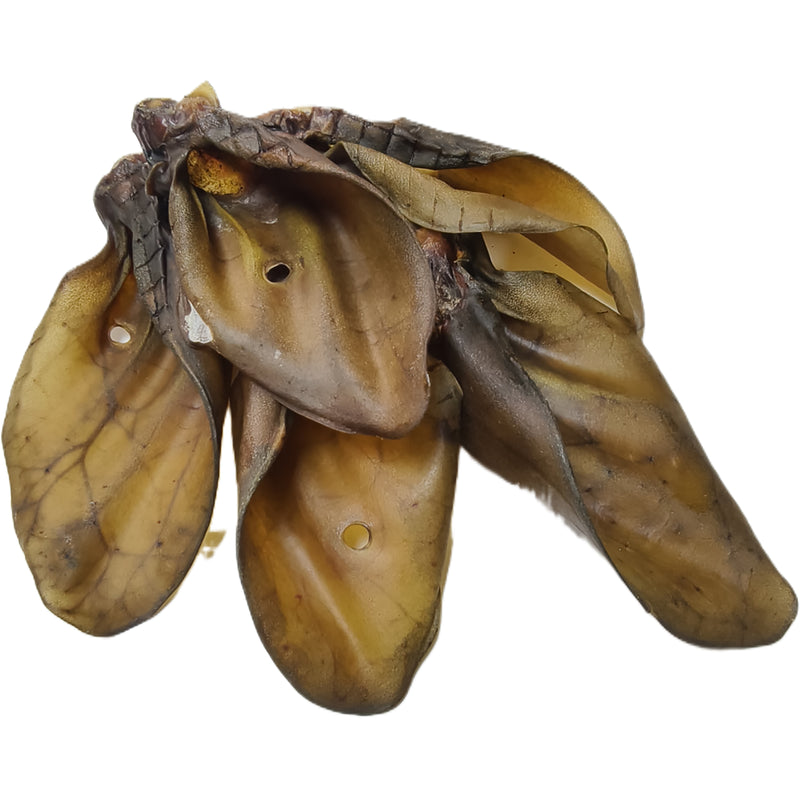 Beef Ears