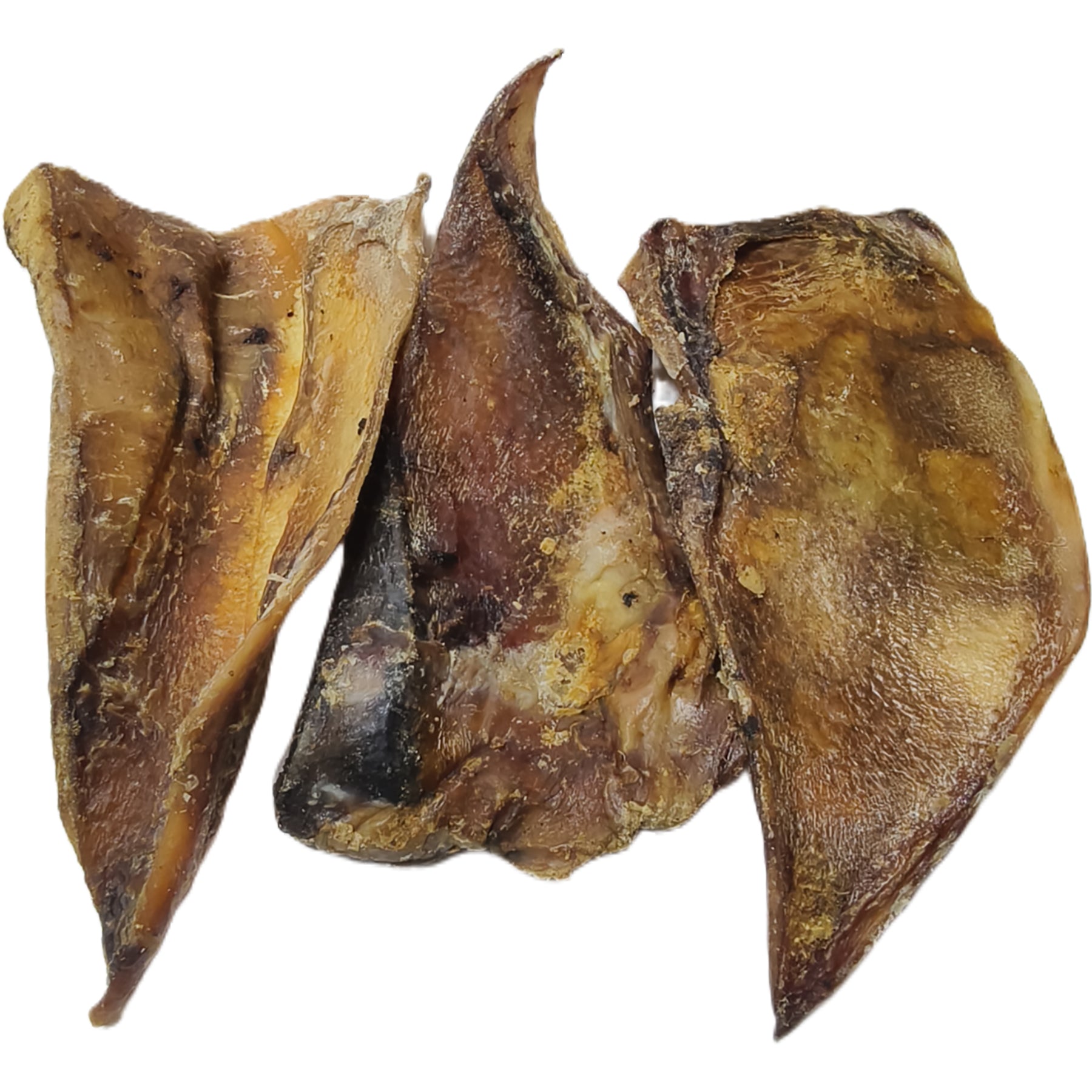 Beef GRISTLE / CARTILAGE