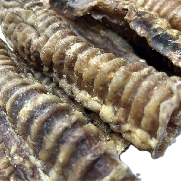 Beef Trachea Pipe 20cm