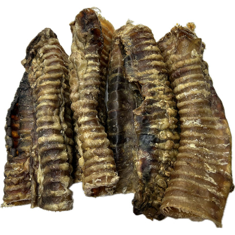 Beef Trachea Pipe 20cm