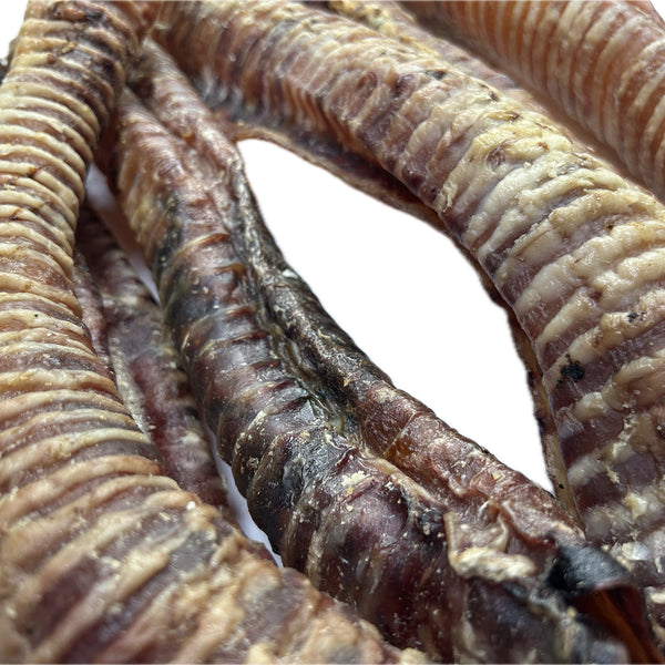 Beef Trachea Pipe 40cm