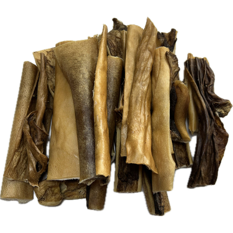 BUFFALO BISON skin hide 15cm 1 kg