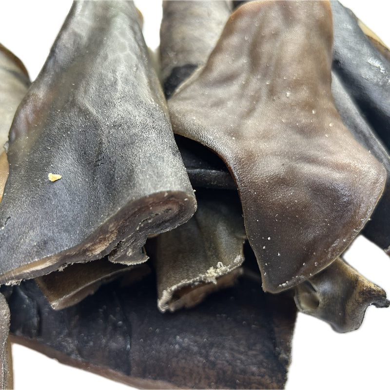 CAMEL Skin 15cm 1 kg