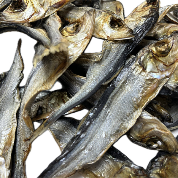 Herring Fish