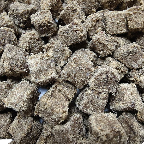Horse Cubes