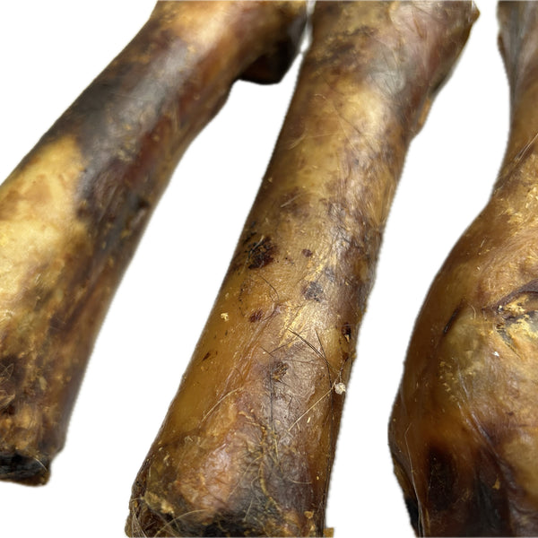 Horse Feet Bone with Tendon