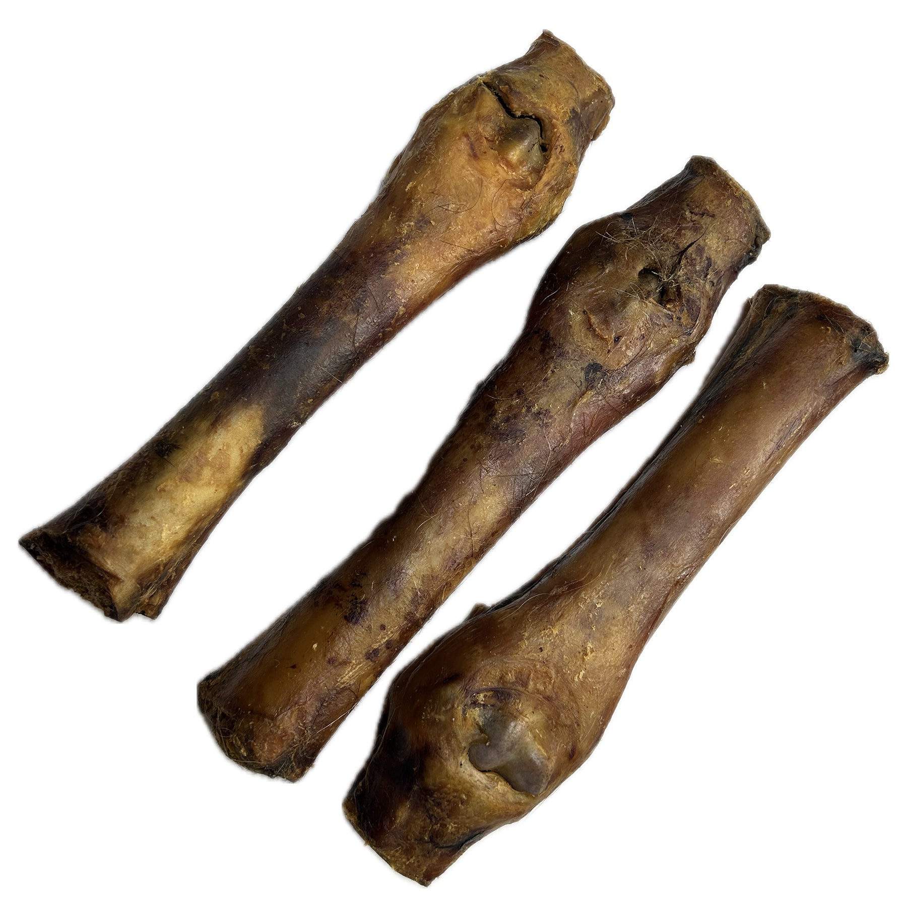 Horse Feet Bone with Tendon