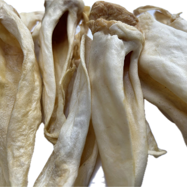WHITE Lamb Ears
