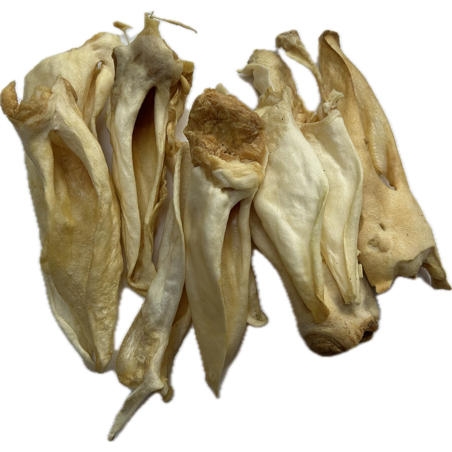 WHITE Lamb Ears