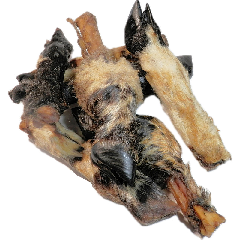Lamb Leg Feet with Fur