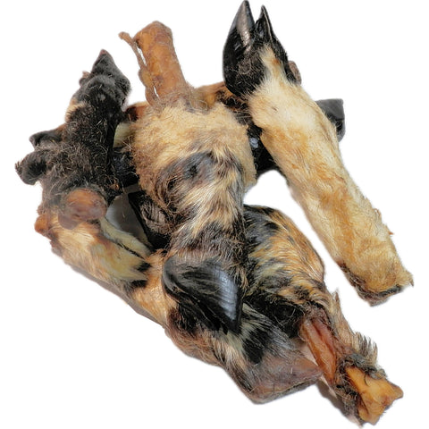 Lamb Leg Feet with Fur