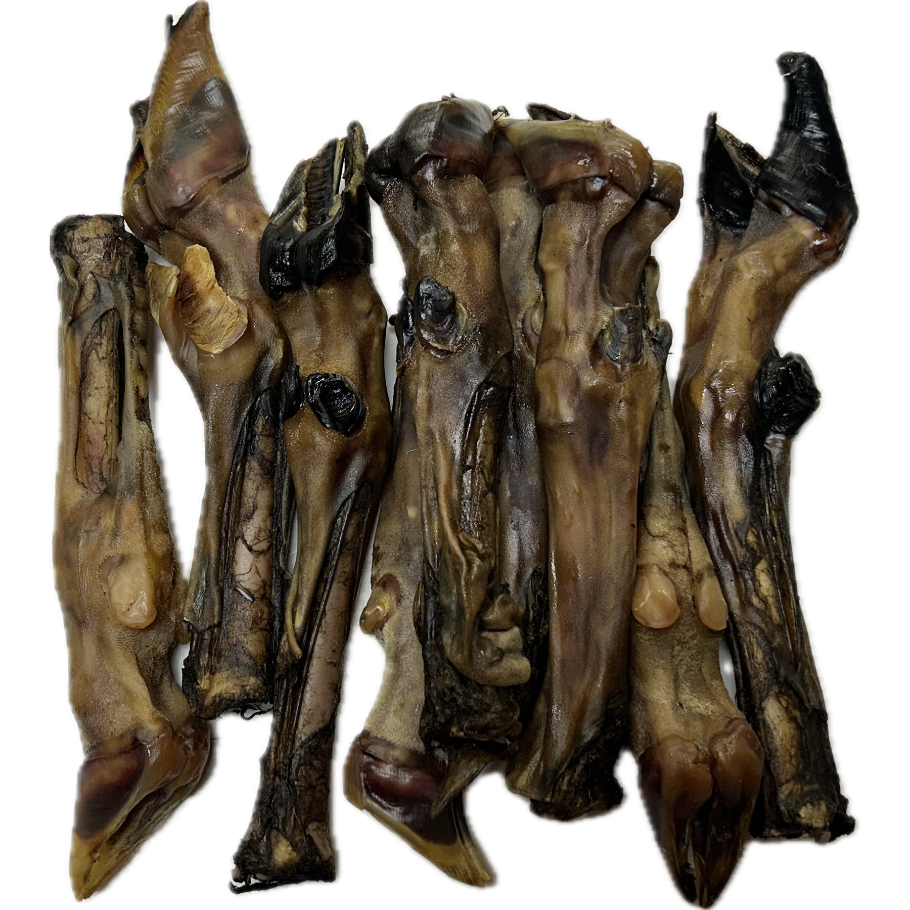 Lamb Leg Feet