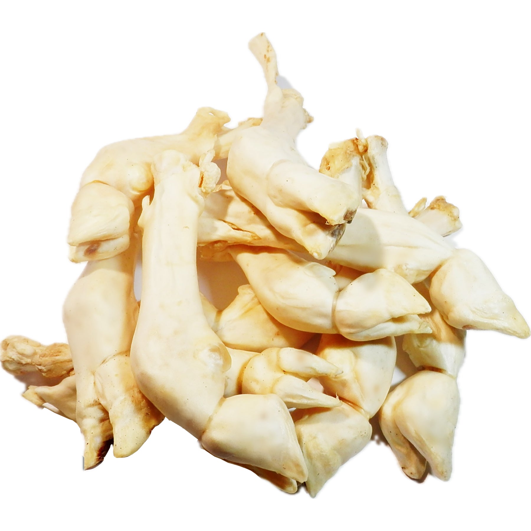 WHITE Lamb Leg Feet