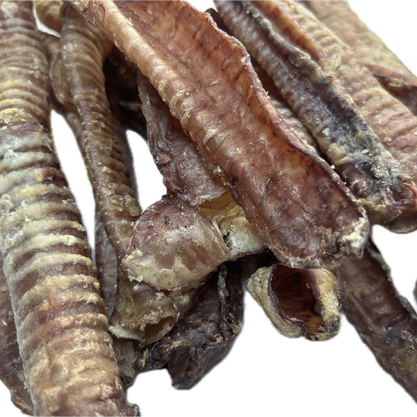 LAMB Trachea