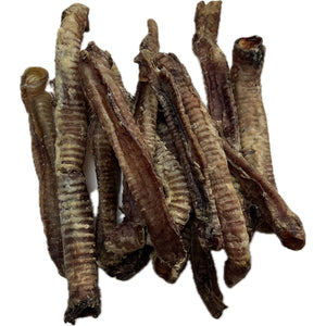 LAMB Trachea