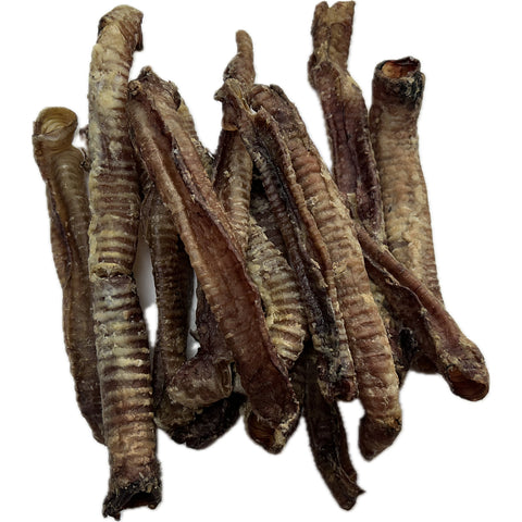 LAMB Trachea