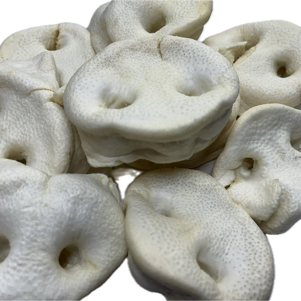 Pork Pig WHITE Snouts