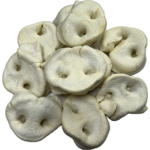 Pork Pig WHITE Snouts