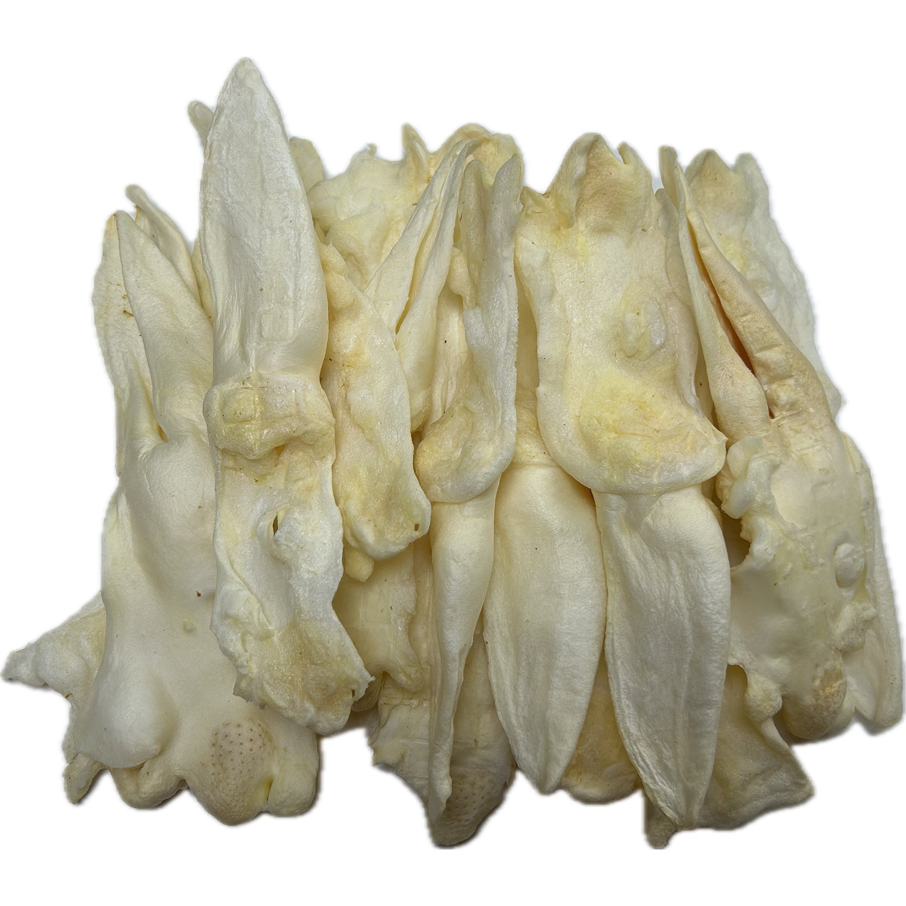 White Rabbit Ears