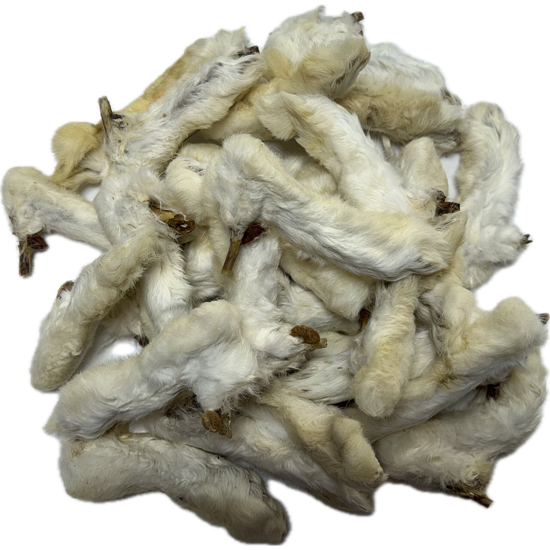 Rabbit Legs Feet with Fur