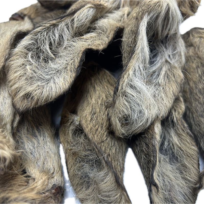 ROE Venison Ears with FUR