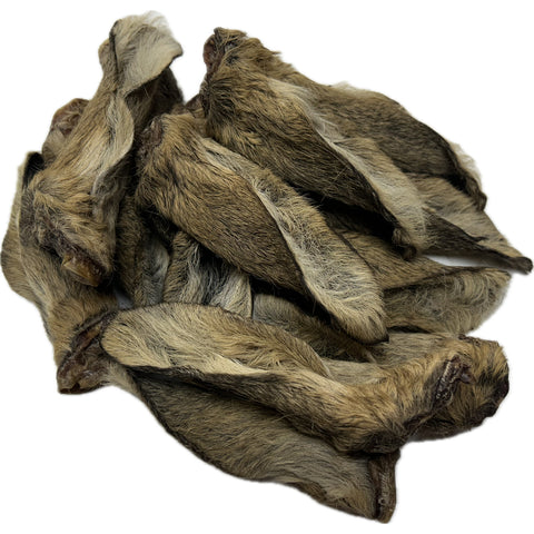 ROE Venison Ears with FUR