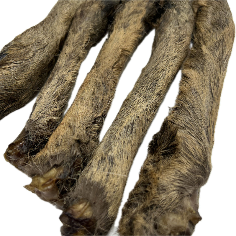 Roe Leg Feet with Fur Hair