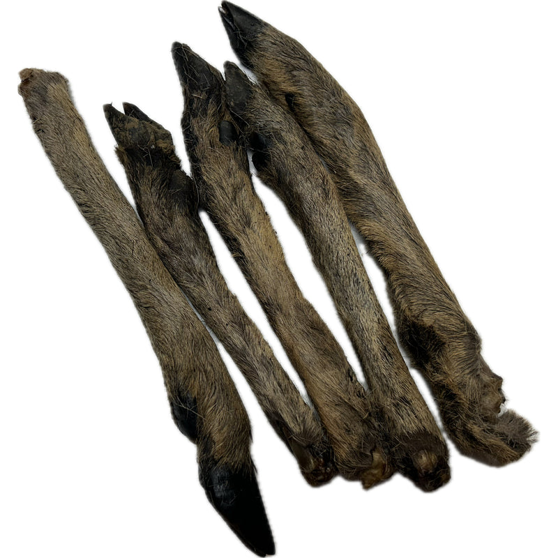 Roe Leg Feet with Fur Hair