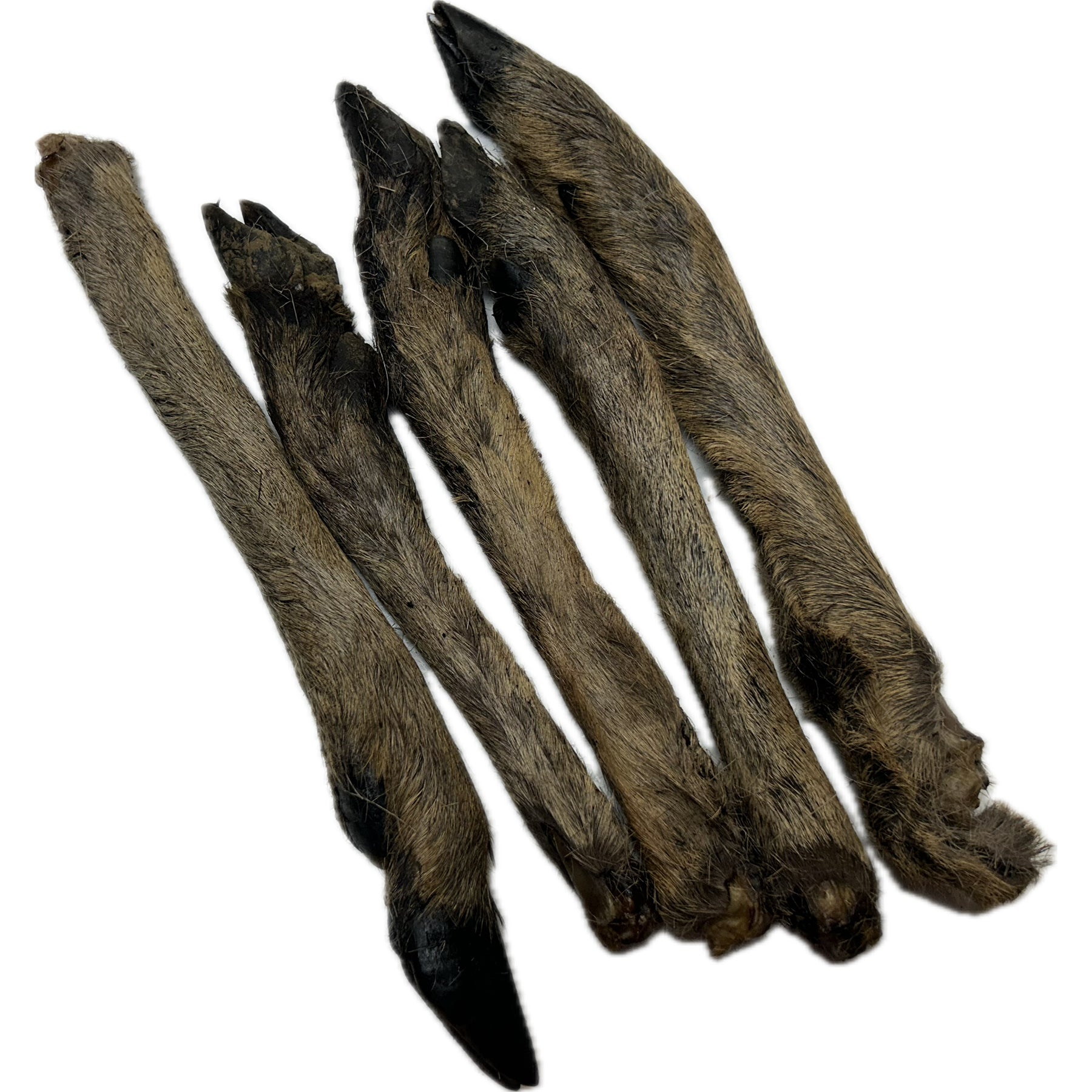 Roe Leg Feet with Fur Hair