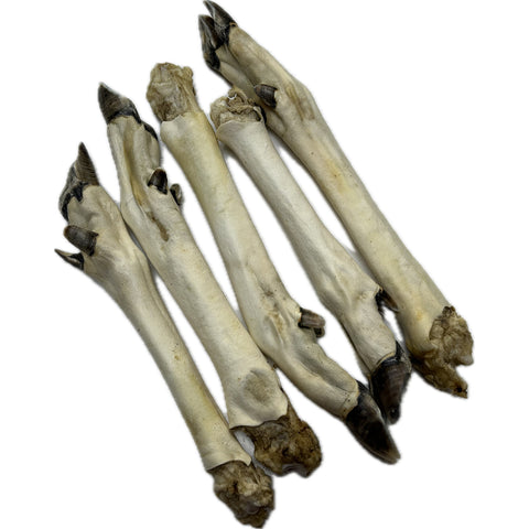 White Roe Leg Feet