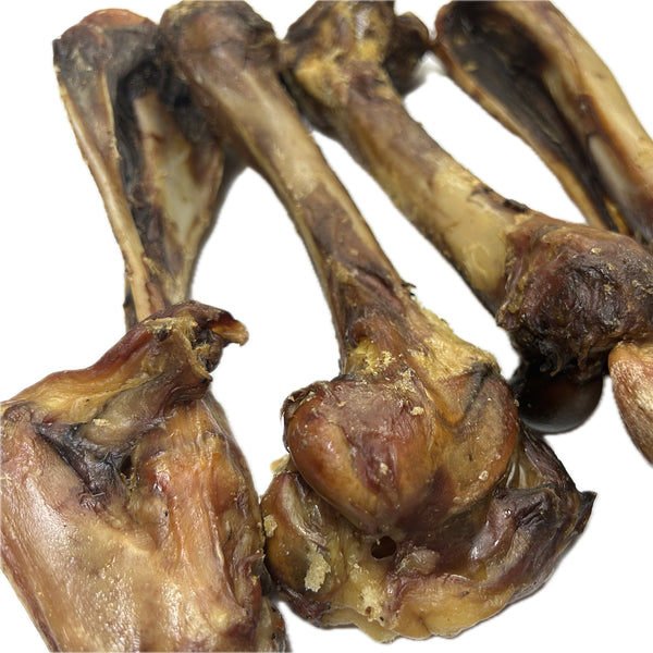 Wild Boar Bones LARGE