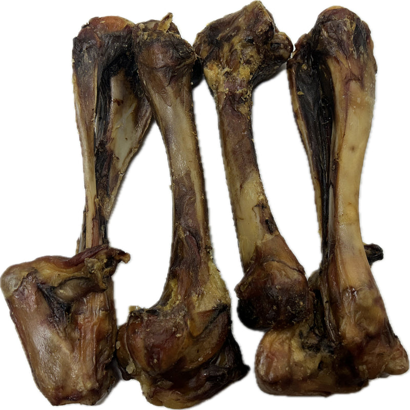 Wild Boar Bones LARGE