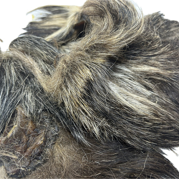 Wild Boar Furry Ears