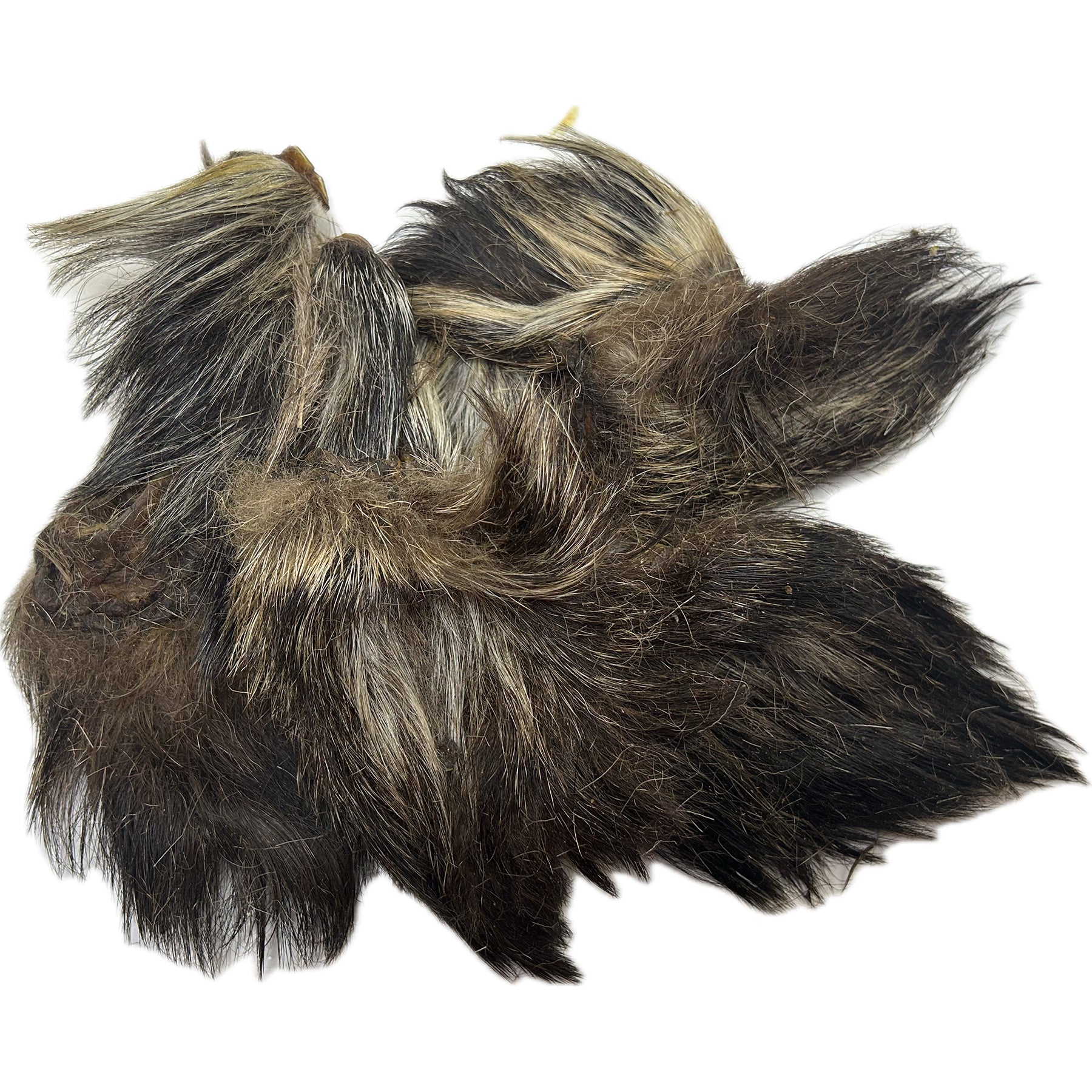 Wild Boar Furry Ears