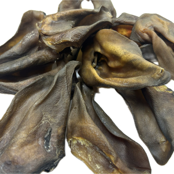 WILD BOAR ears