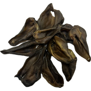 WILD BOAR ears