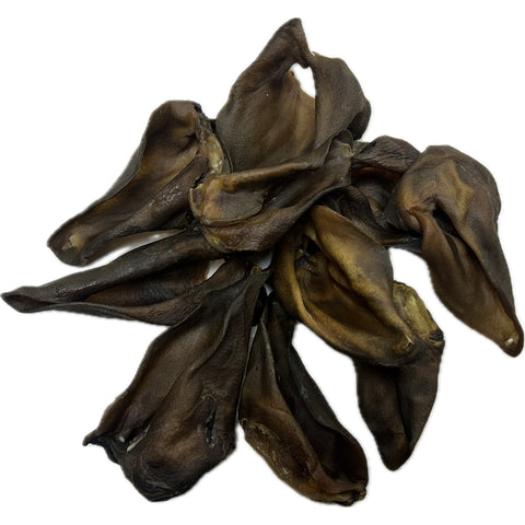 WILD BOAR ears