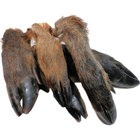 Wild Boar Leg with Fur