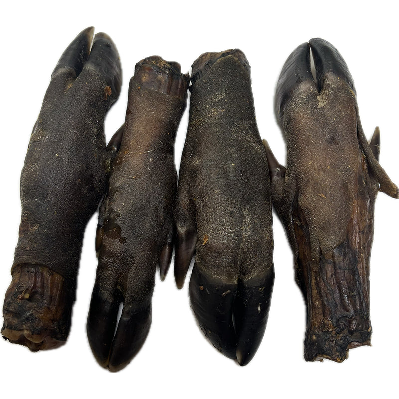 WILD BOAR Leg