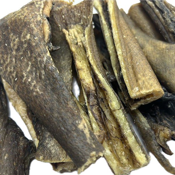 Wild Boar Skin Hide 15cm