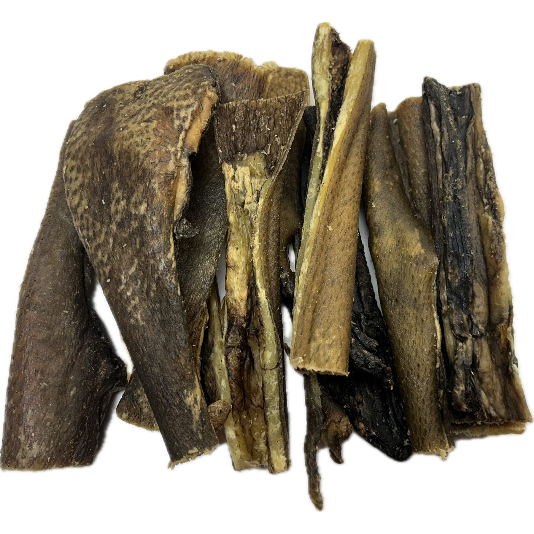 Wild Boar Skin Hide 15cm