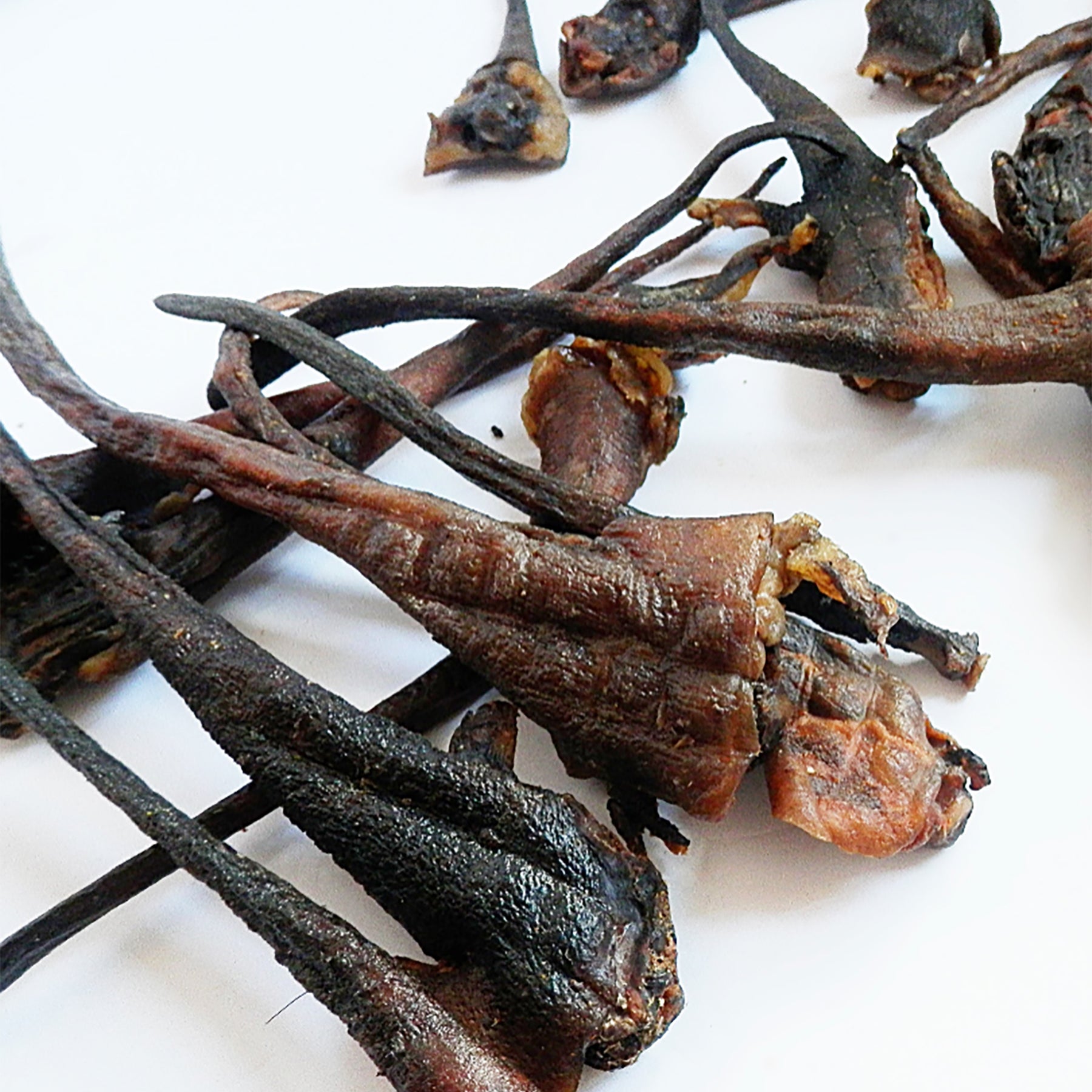 Dried Wild Boar Tails