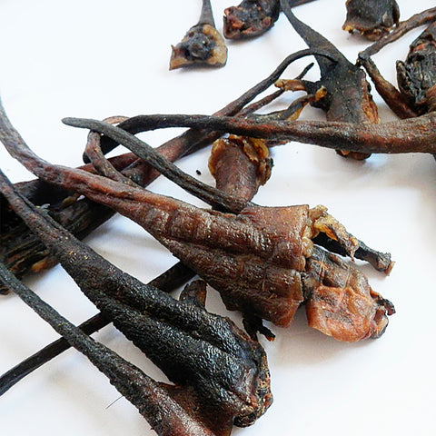 Dried Wild Boar Tails