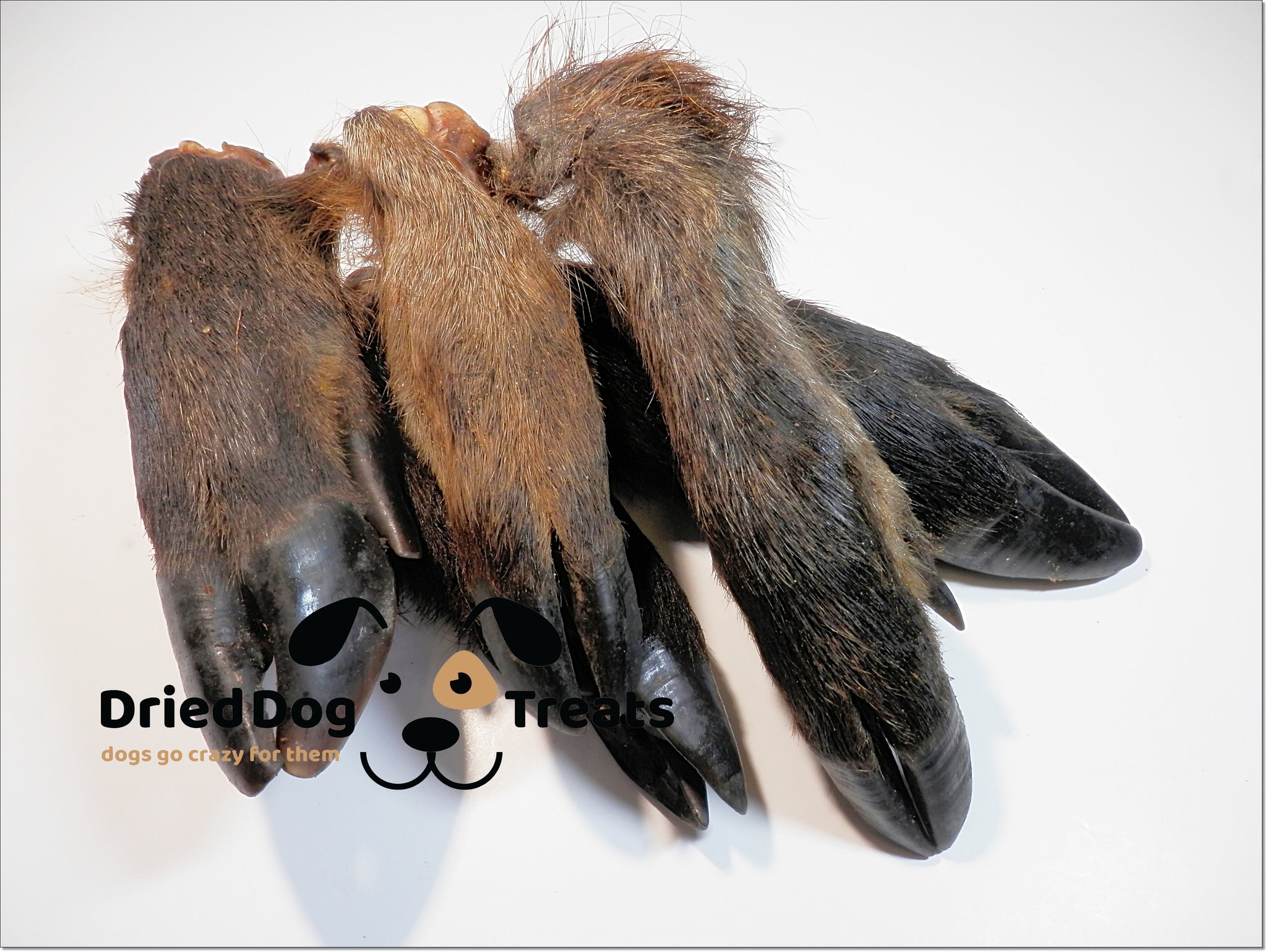 Wild Boar Leg with Fur