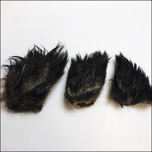 Wild Boar Furry Ears