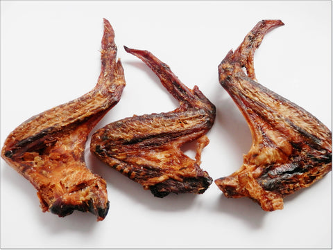 DUCK Wings with Meat